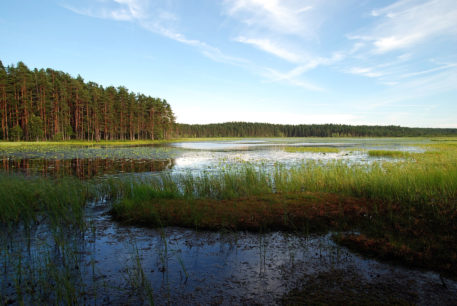 Березовые острова