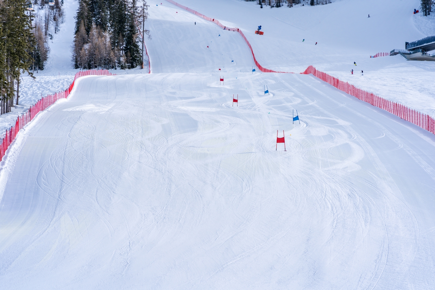 Параллельный гигантский слалом