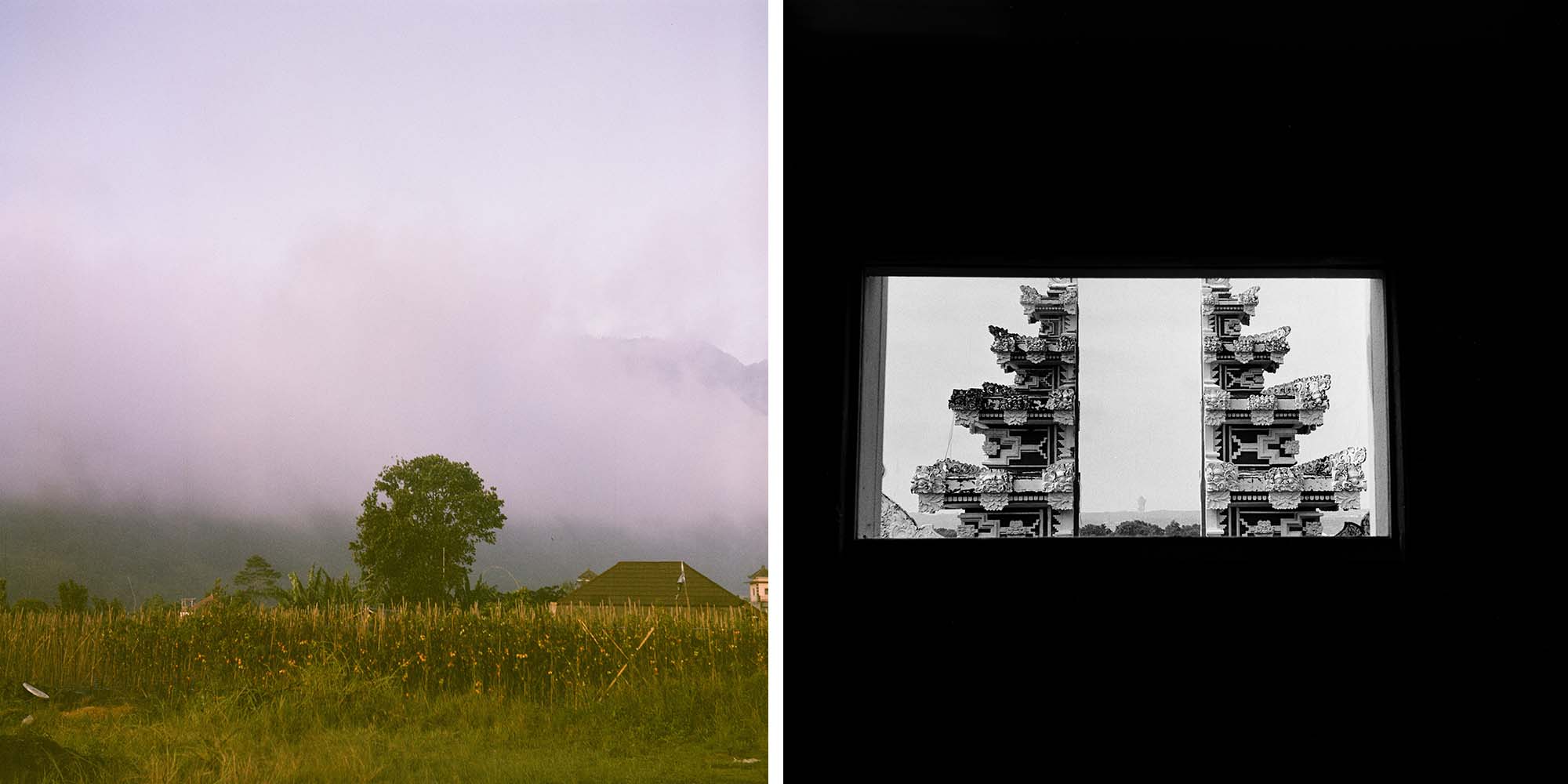 Никита Авдеев х Termit