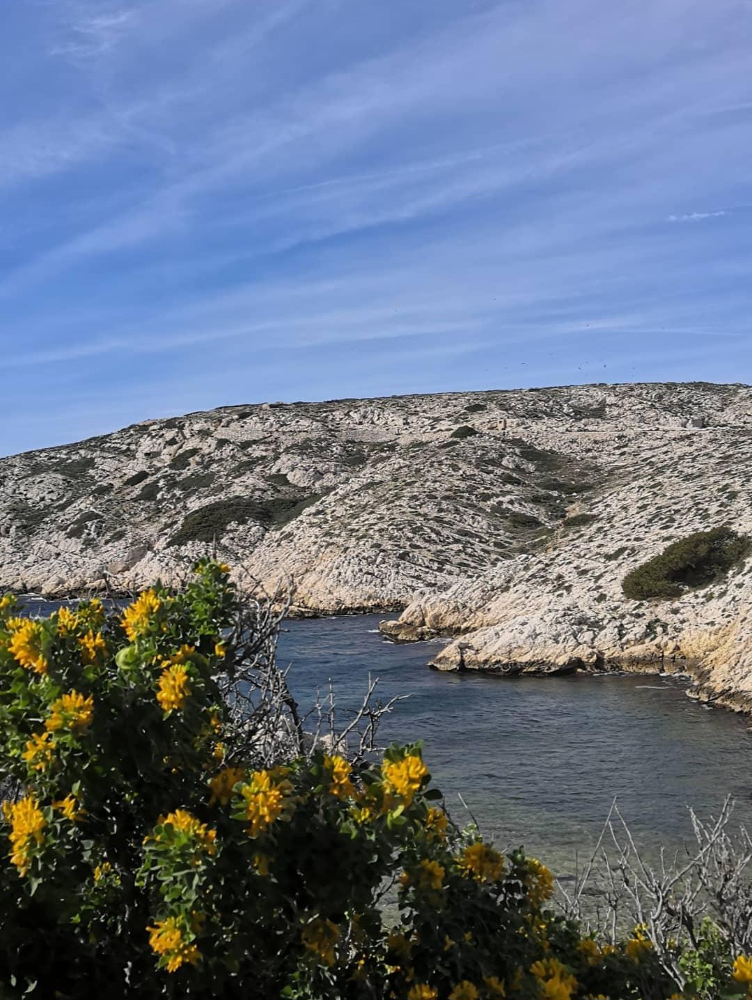 Фриульские острова