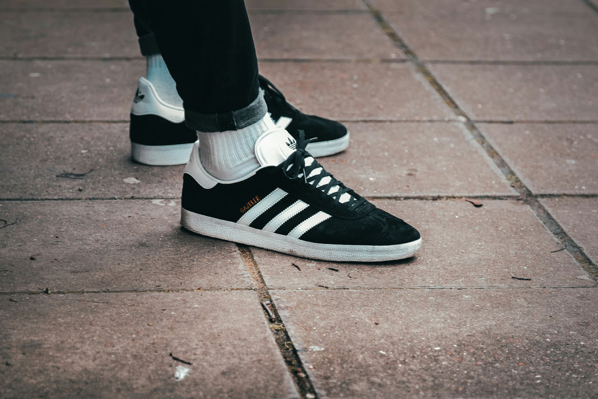 gazelle
