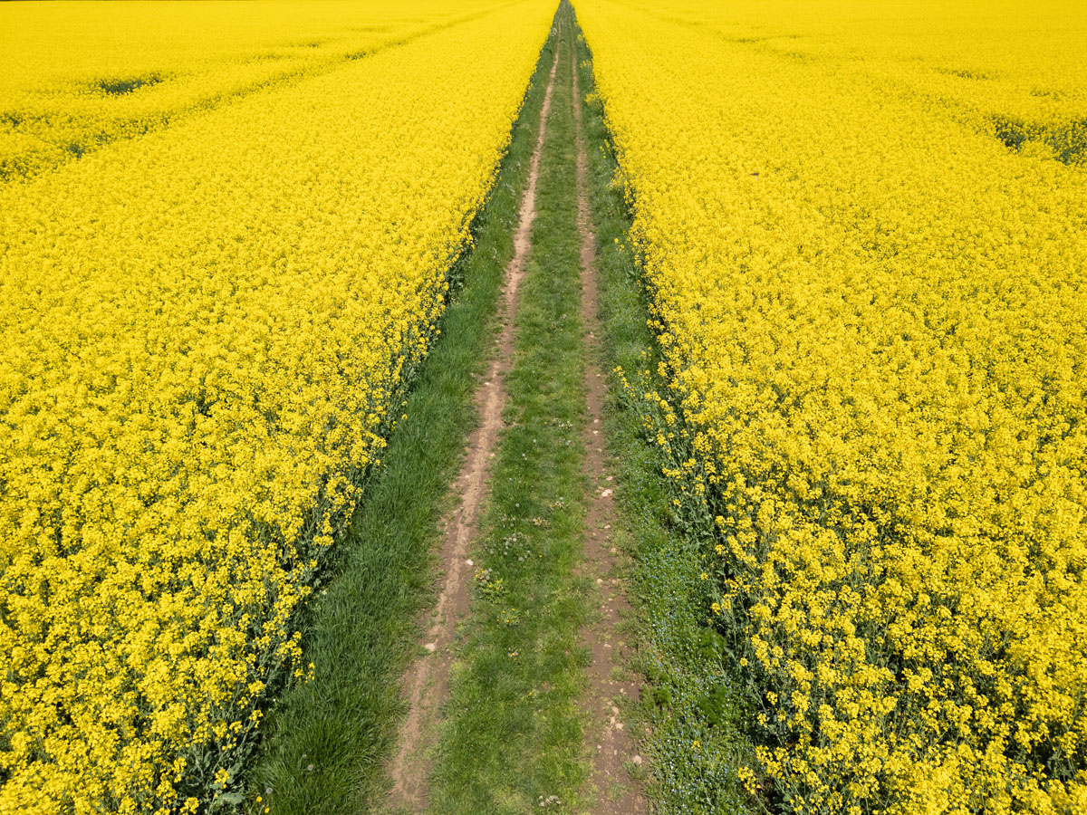 самые красивые места россии весной