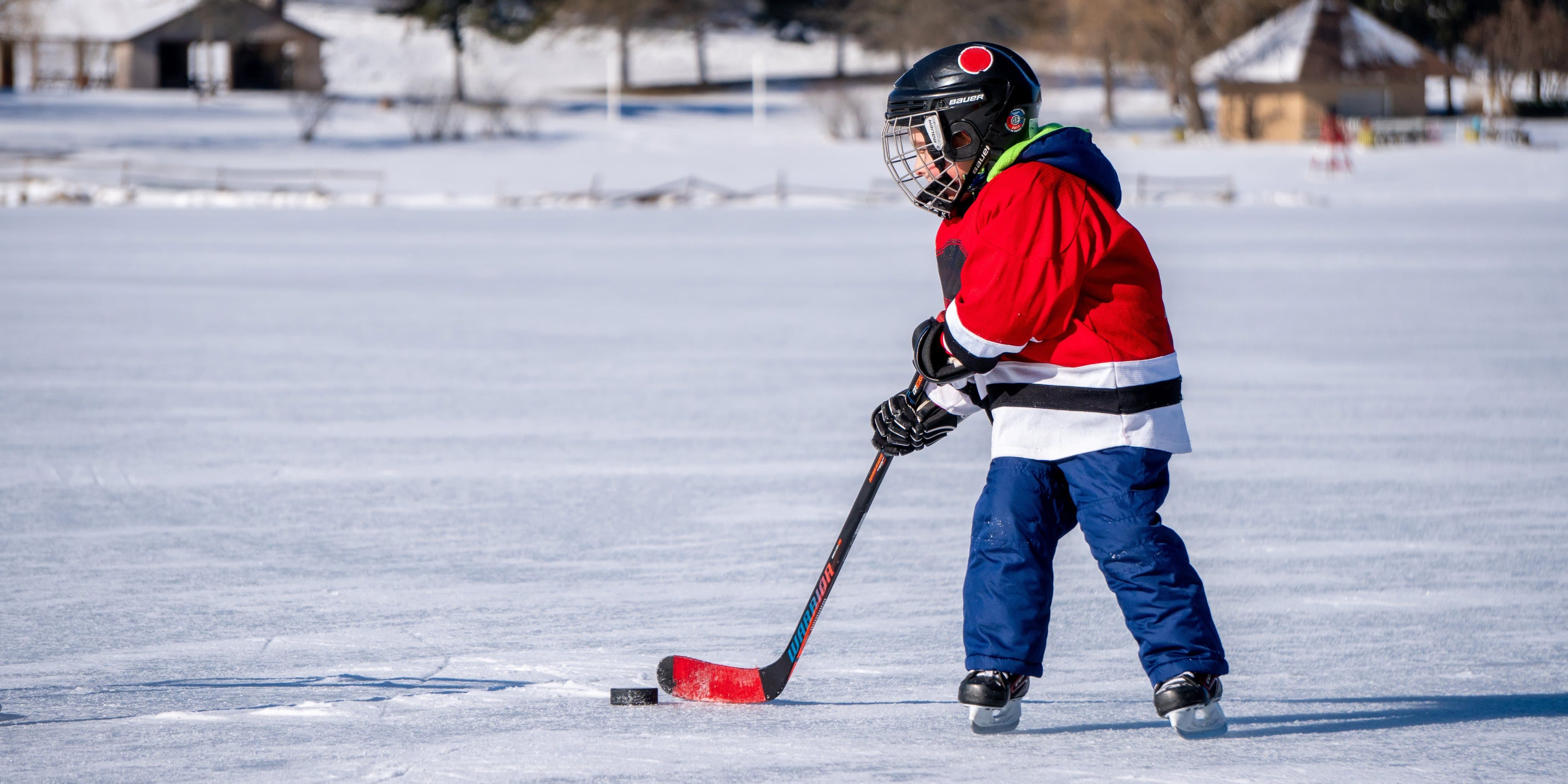 Play Hockey