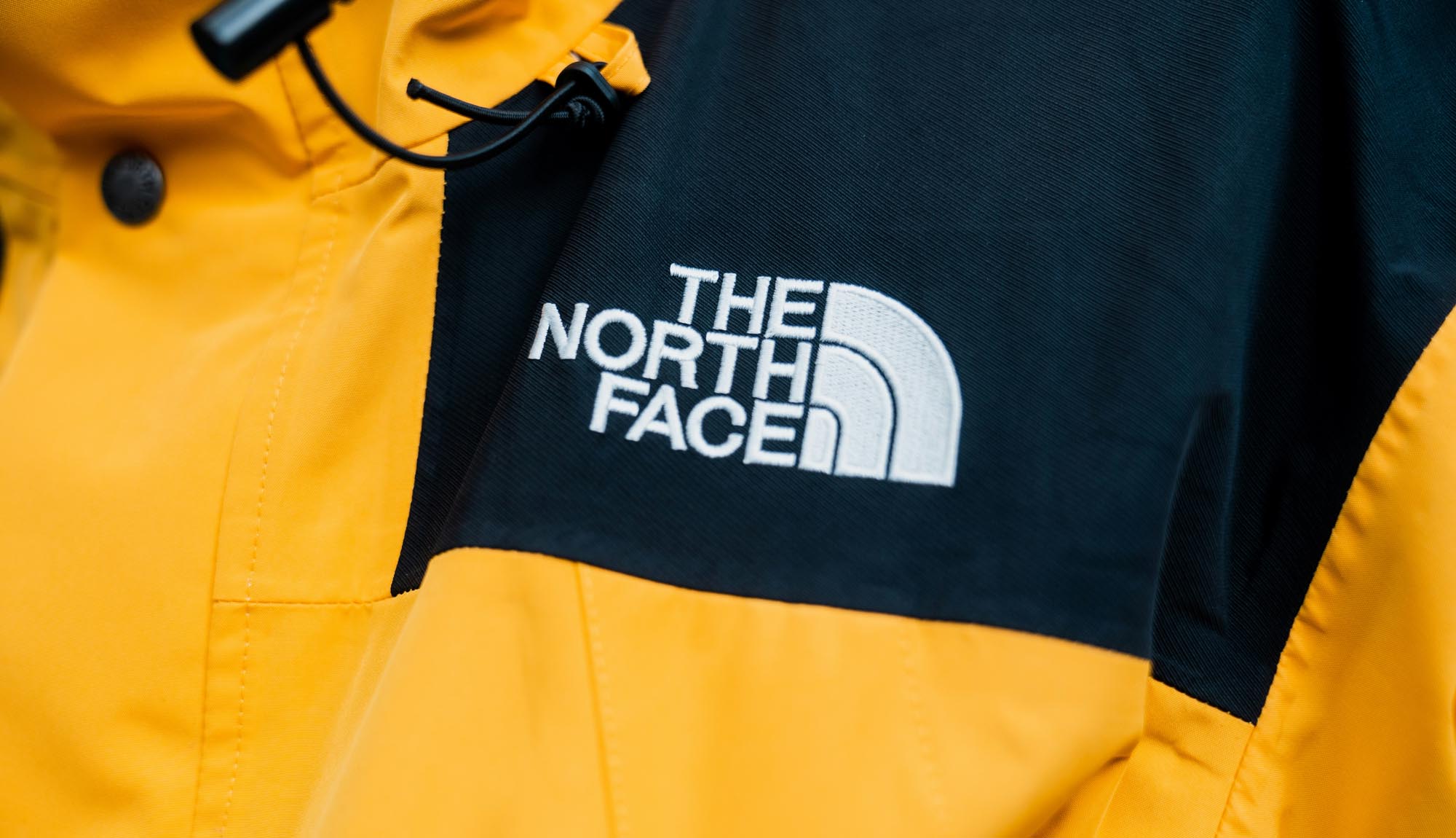The North Face: все про аутдор-бренд, любимый модниками