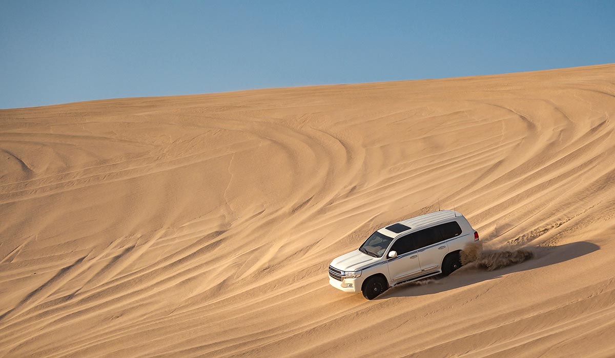 Сафари в пустыне в Дохе