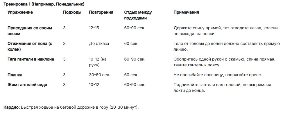 Gemini тренировка 1