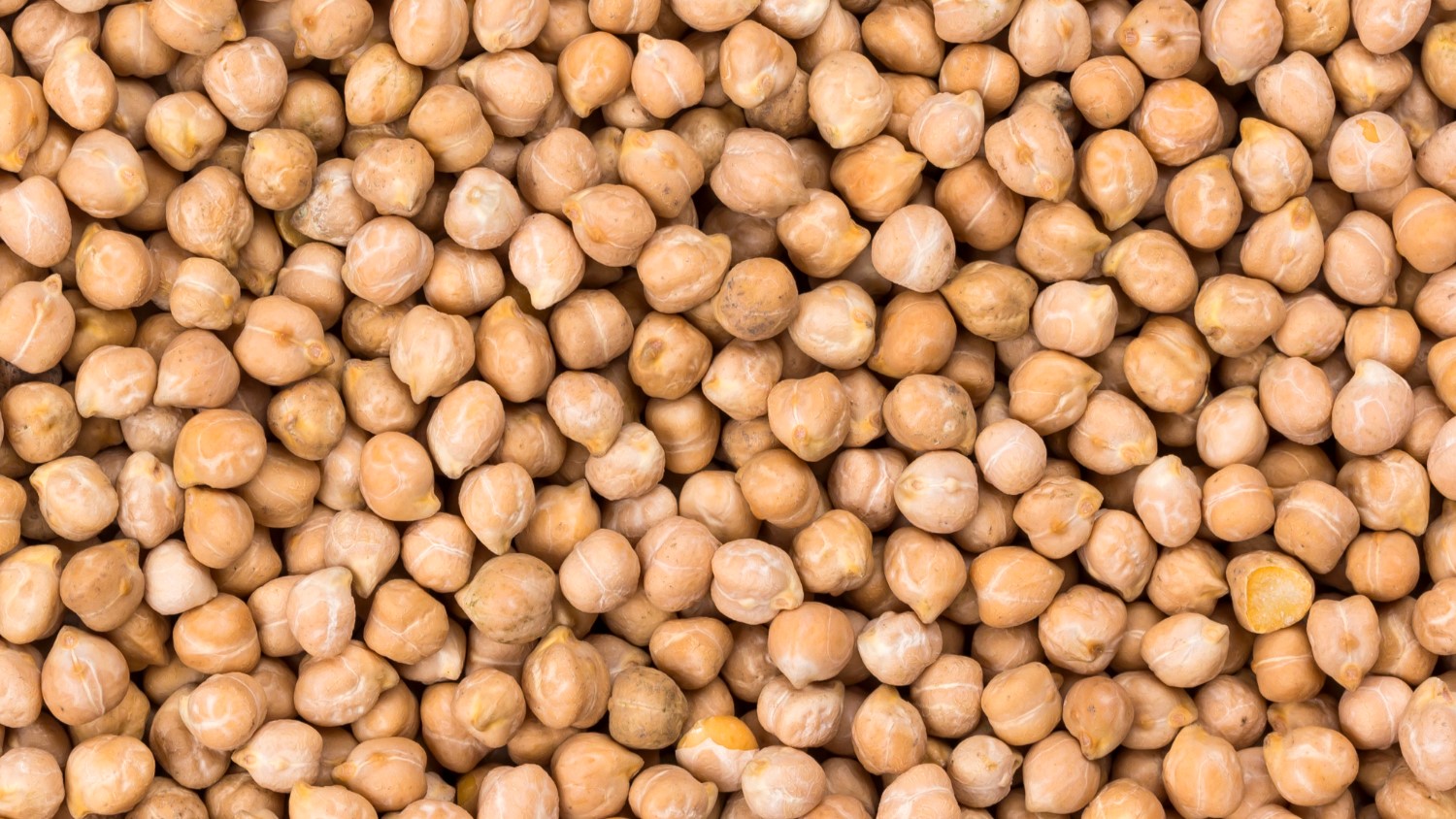 Что приготовить из нута: 10 рецептов