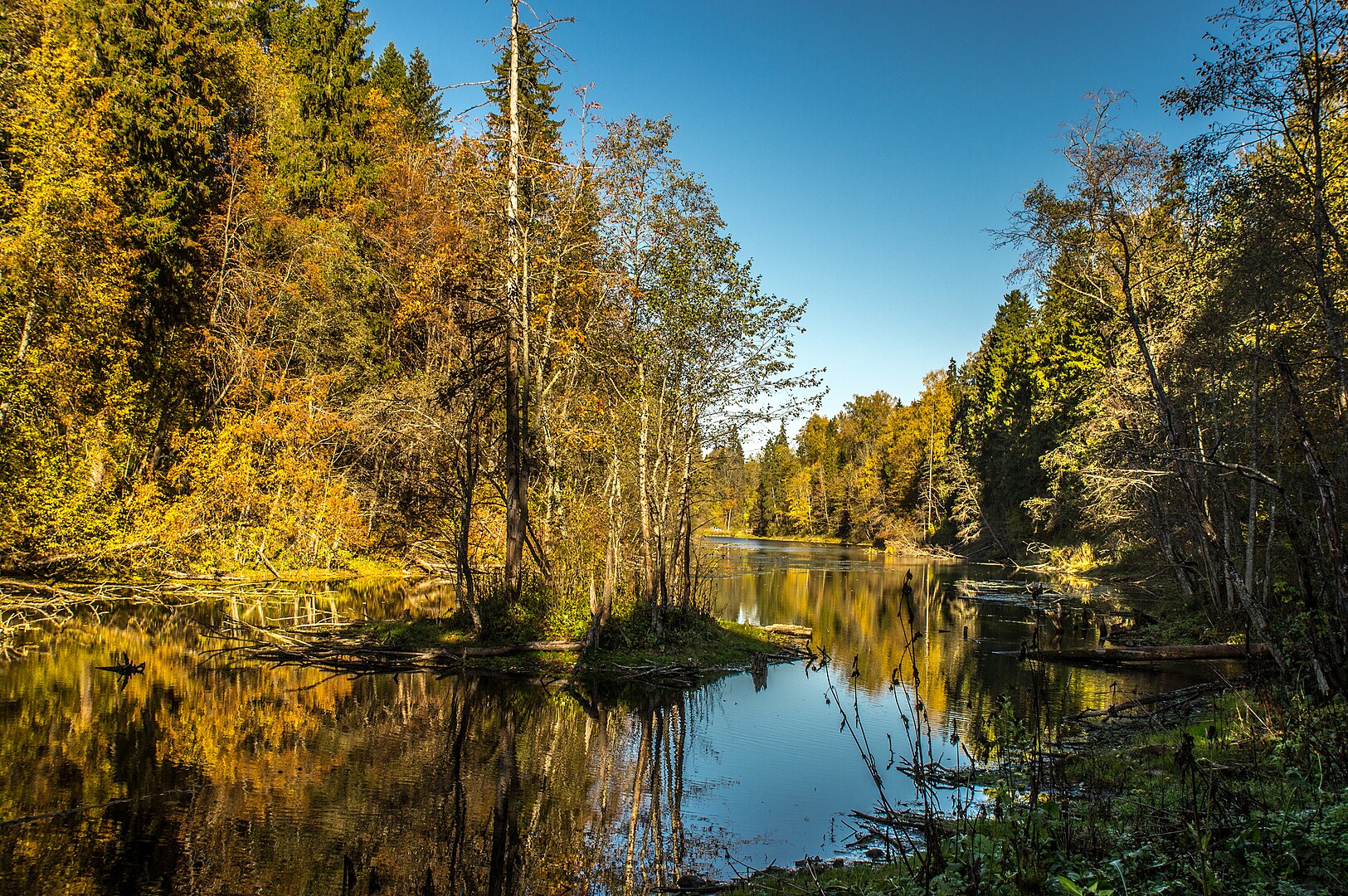 Радоновые озера Ленинградской области