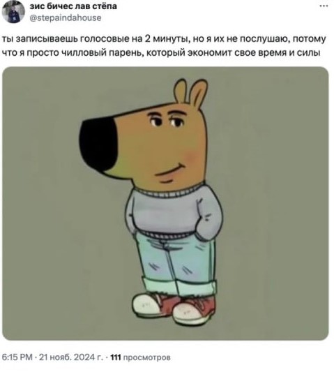Лучшие мемы 2024 года