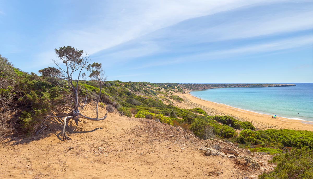 Черепаший пляж, Кипр