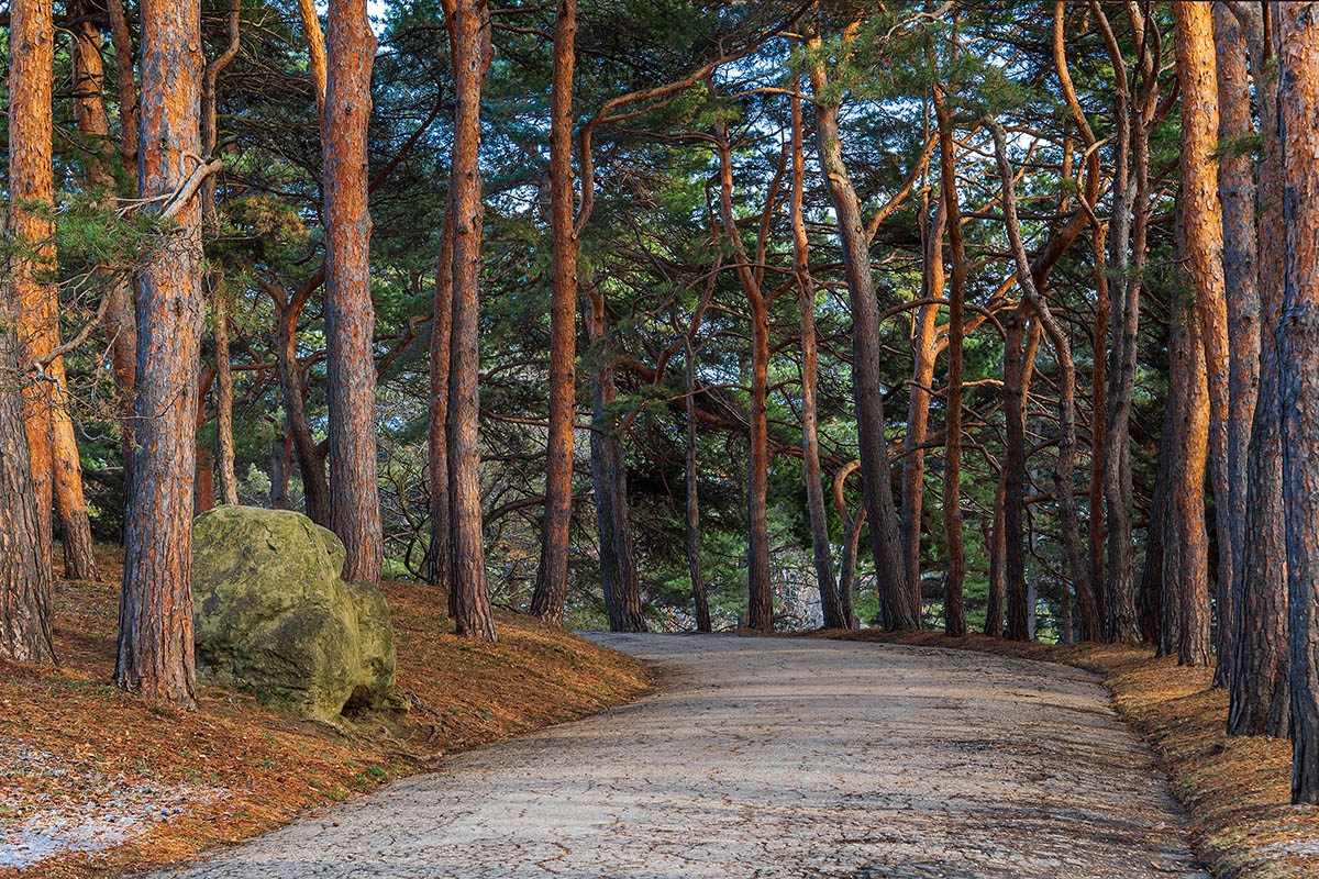 Кисловодск, терренкур