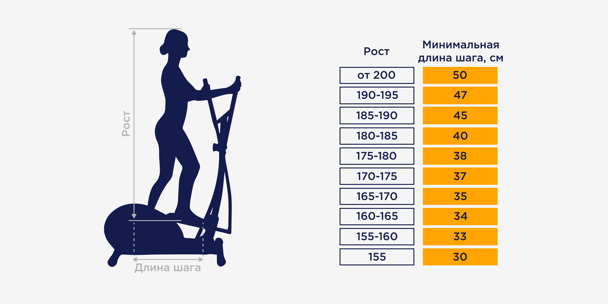 Выбираем эллипсоид: какой лучше по характеристикам — Медиапортал Спортмастер