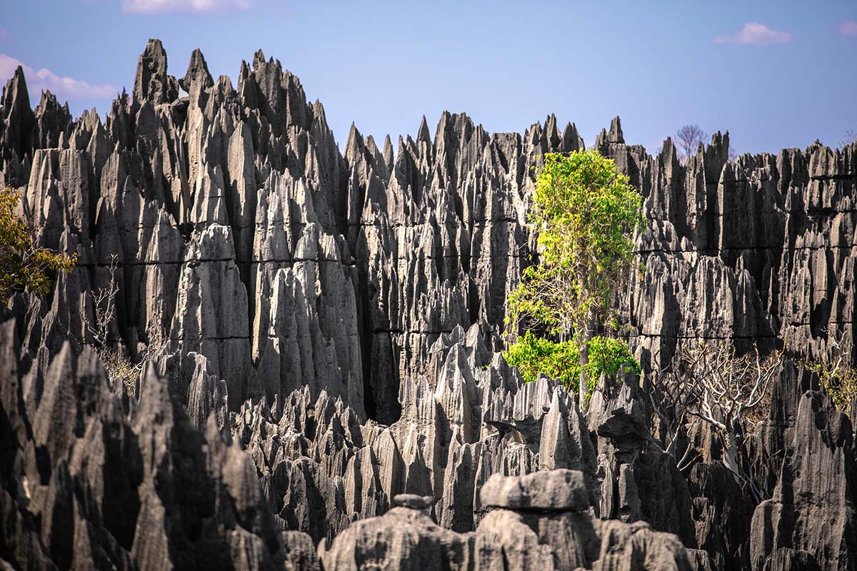 Цинги-де-Бемараха