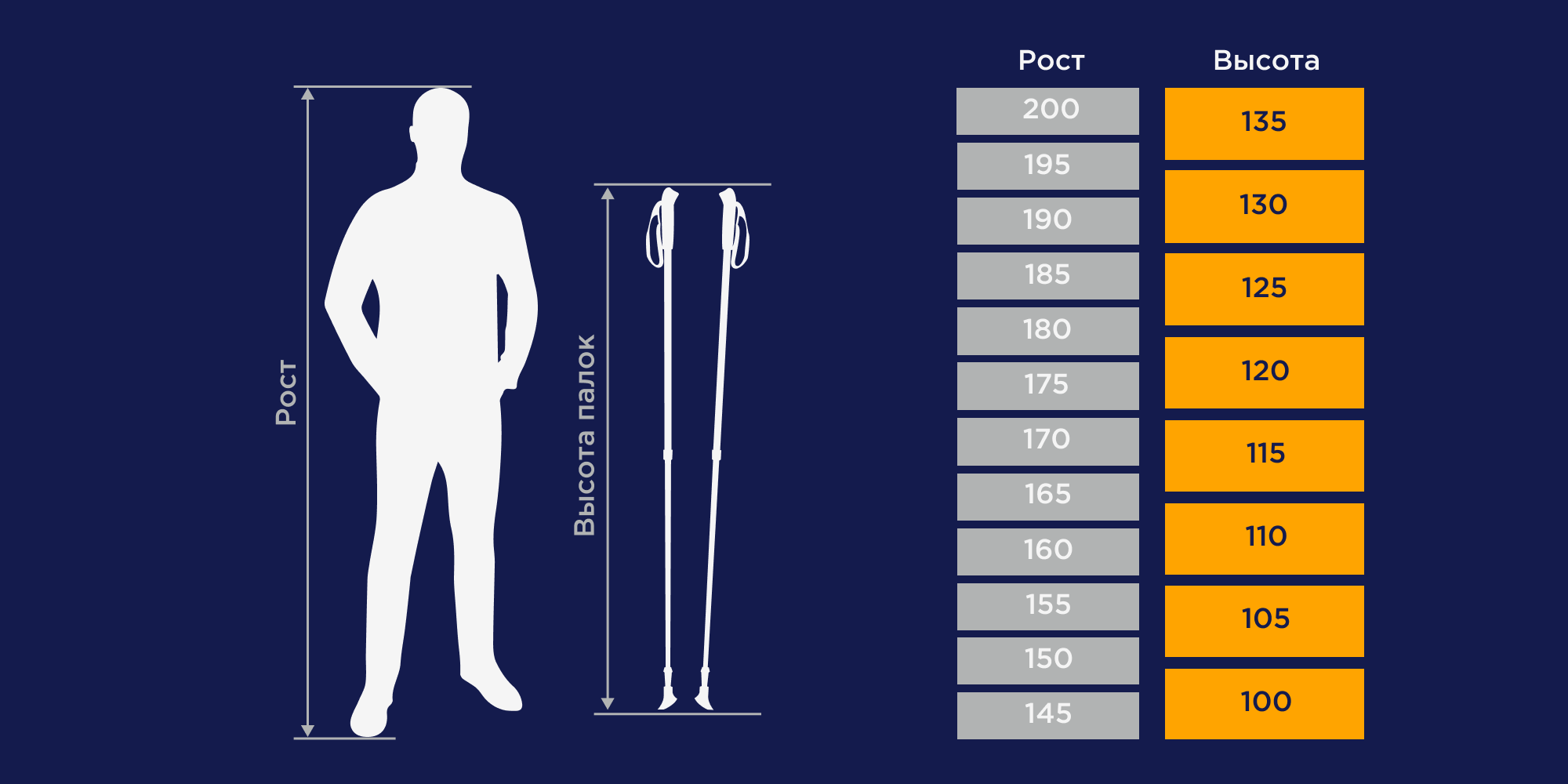 Размеры палок для скандинавской ходьбы