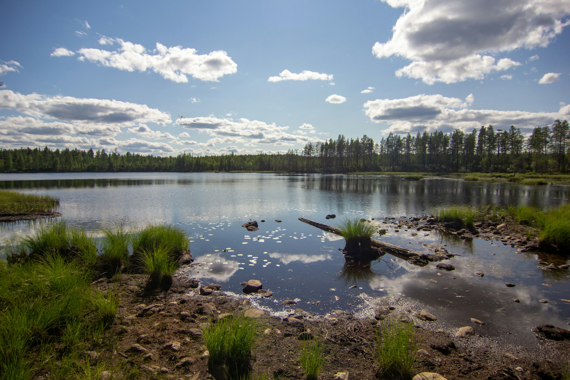 Карелия