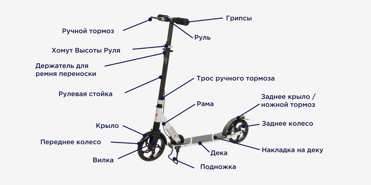 Порядок сборки самоката Как выбрать детский самокат и самокат для города: полезные советы