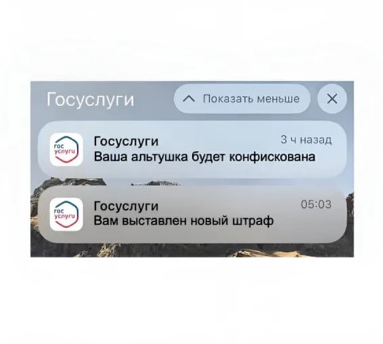 Лучшие мемы 2024 года