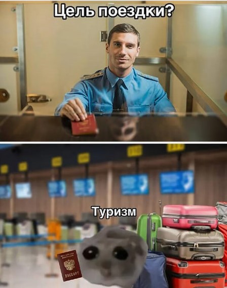 Лучшие мемы 2024 года