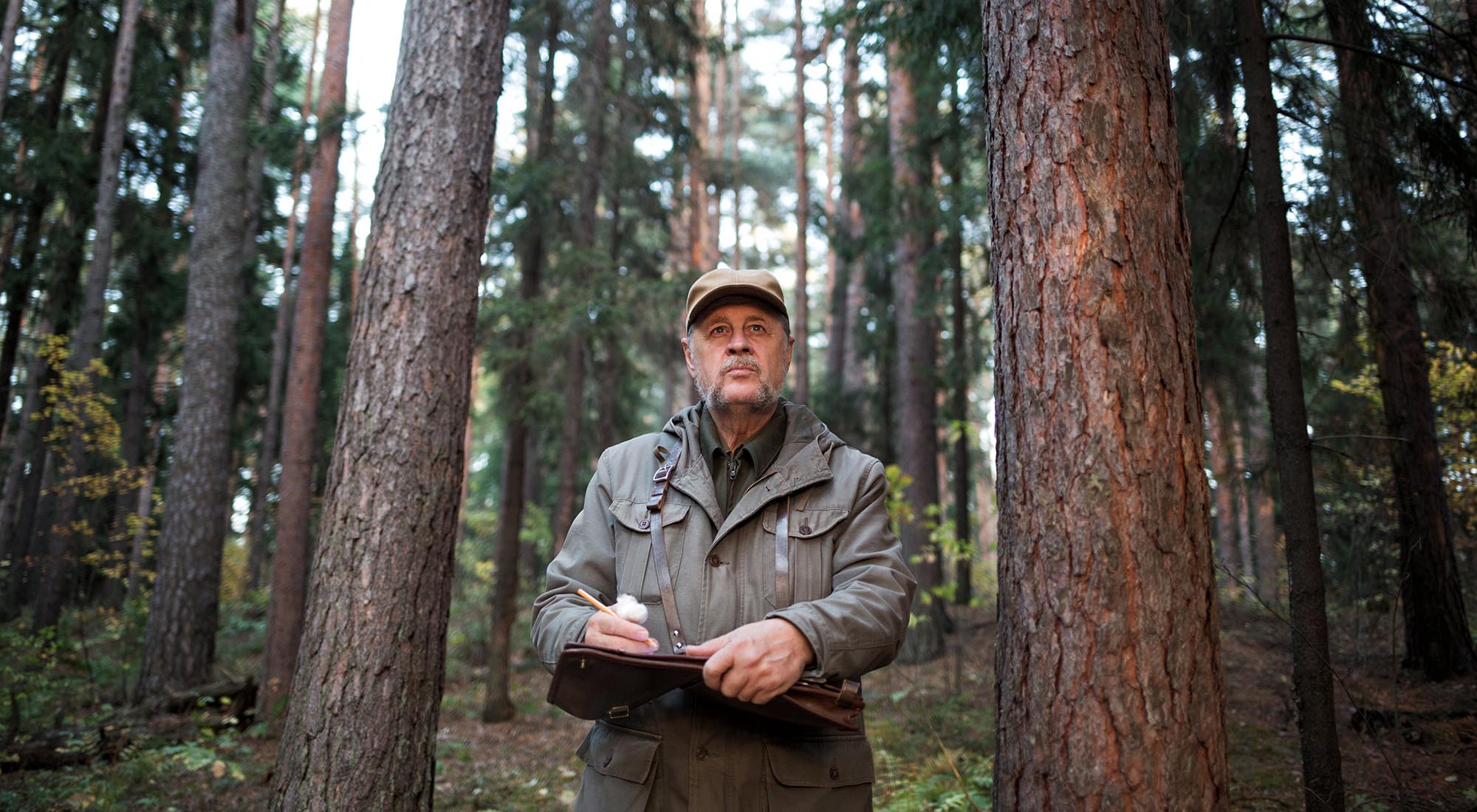 Чем отличается егерь от лесника