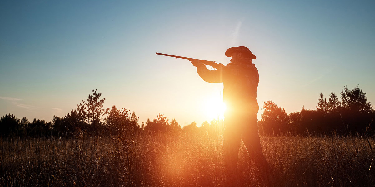 Когда лучше охотиться: утром или вечером