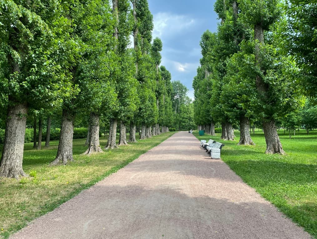 Приморский парк Победы
