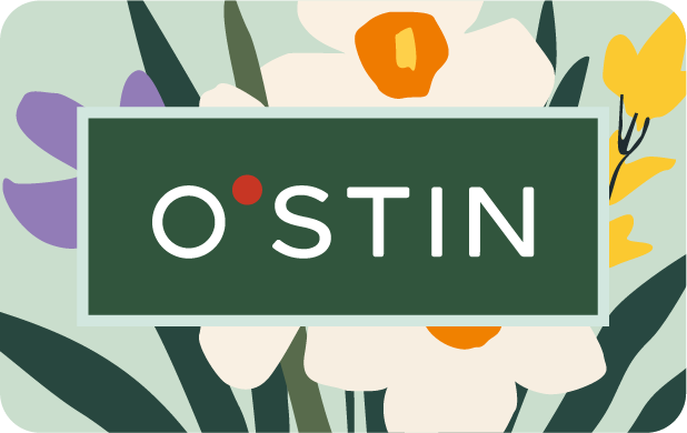 ostin.com