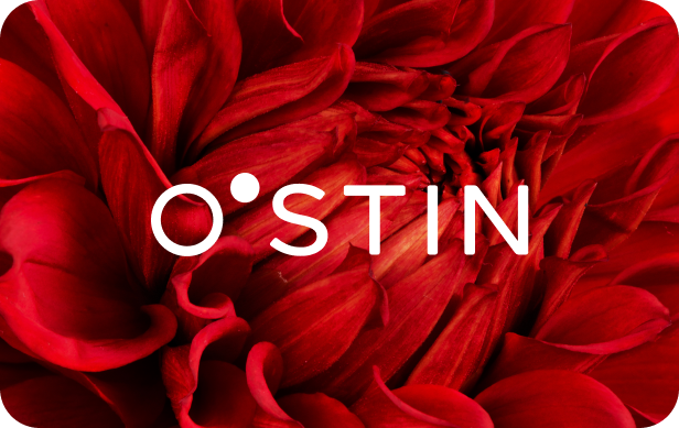 ostin.com