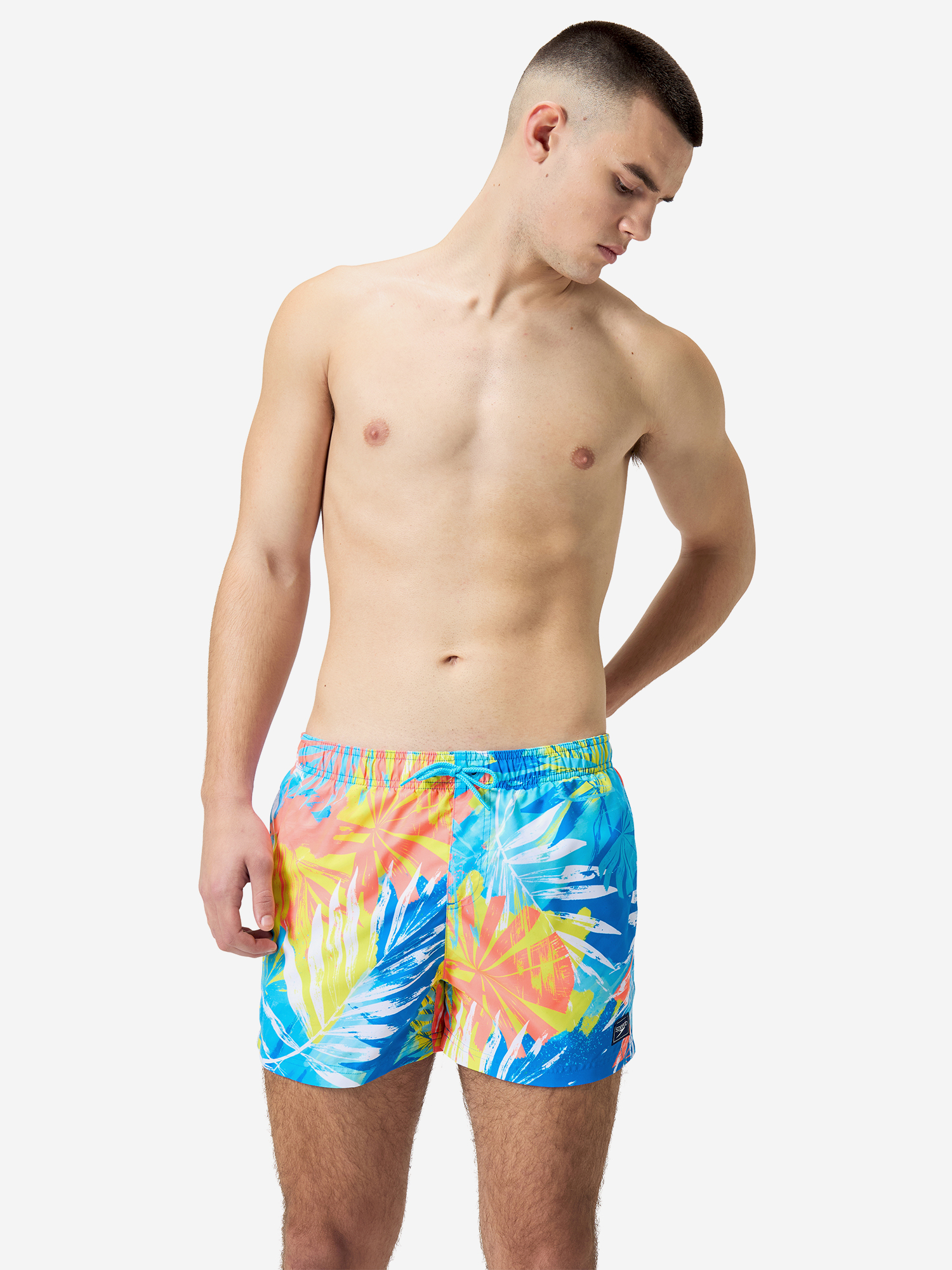 

Шорты плавательные мужские Speedo, Мультицвет
