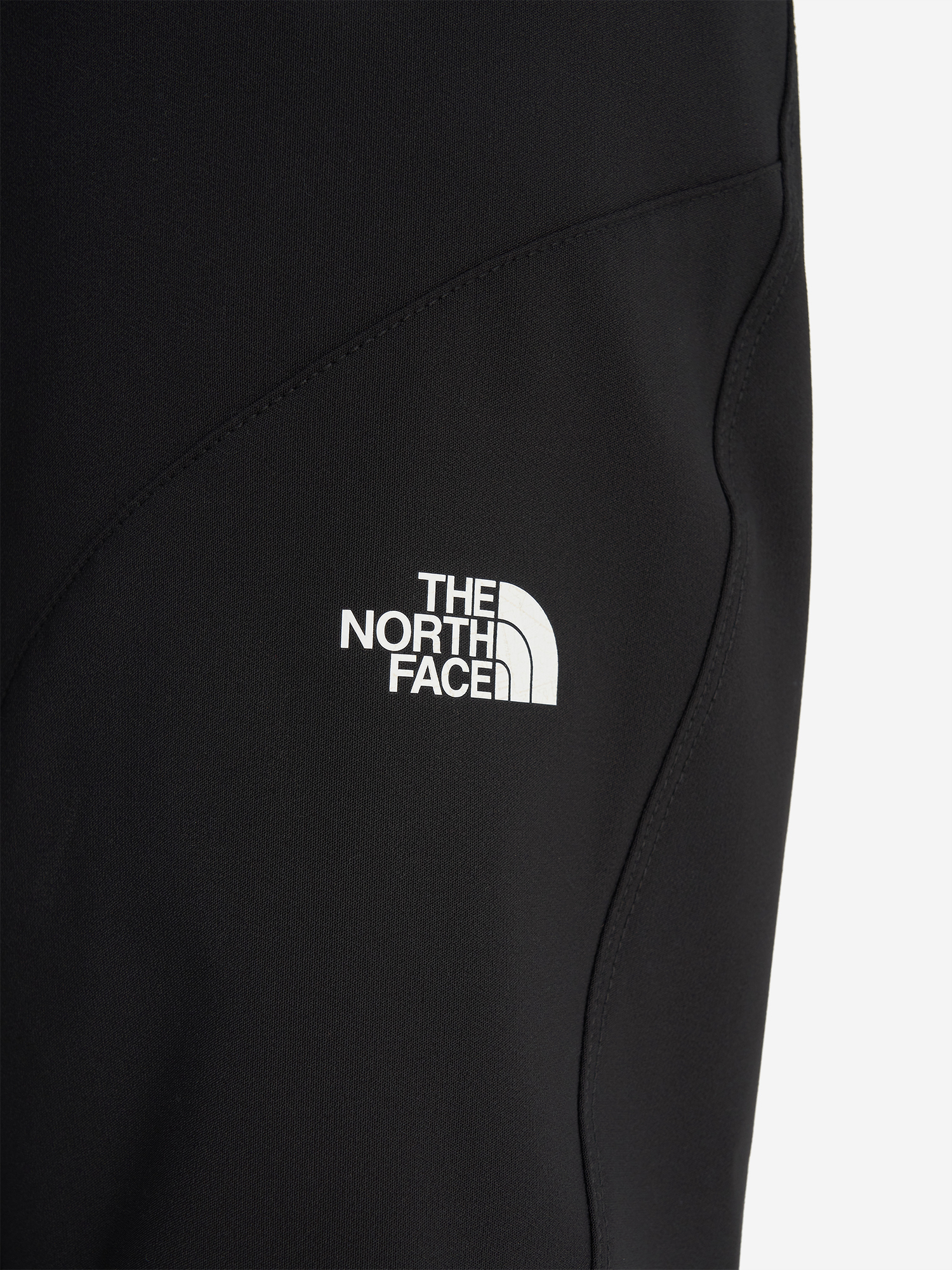 фото Брюки женские the north face, черный