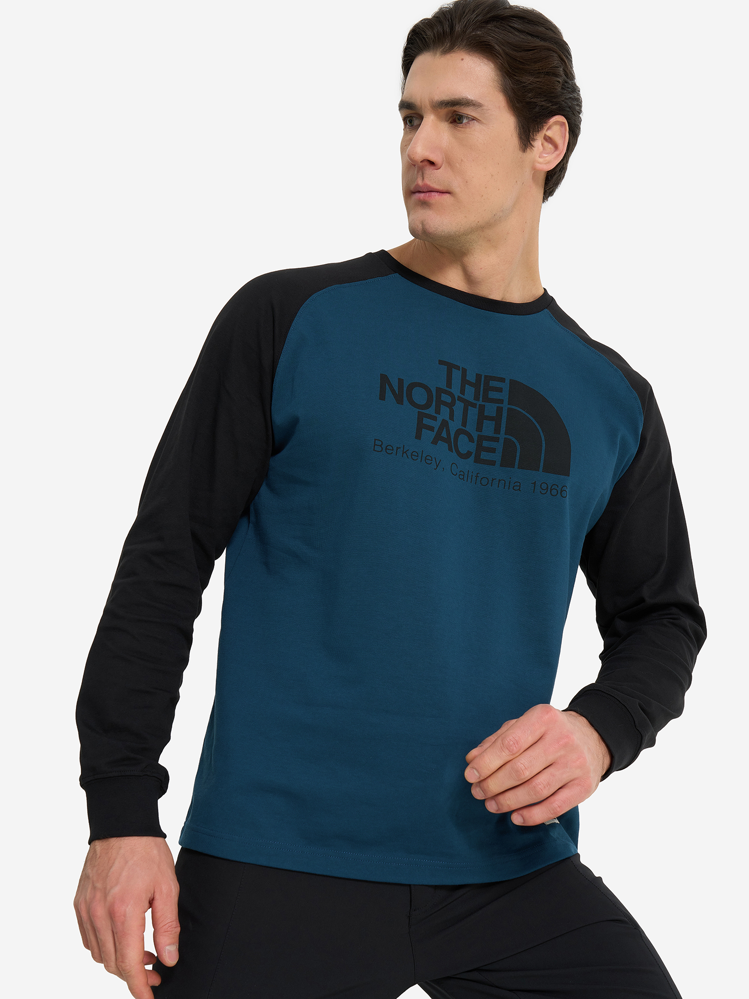 

Лонгслив мужской The North Face Heritage, Синий