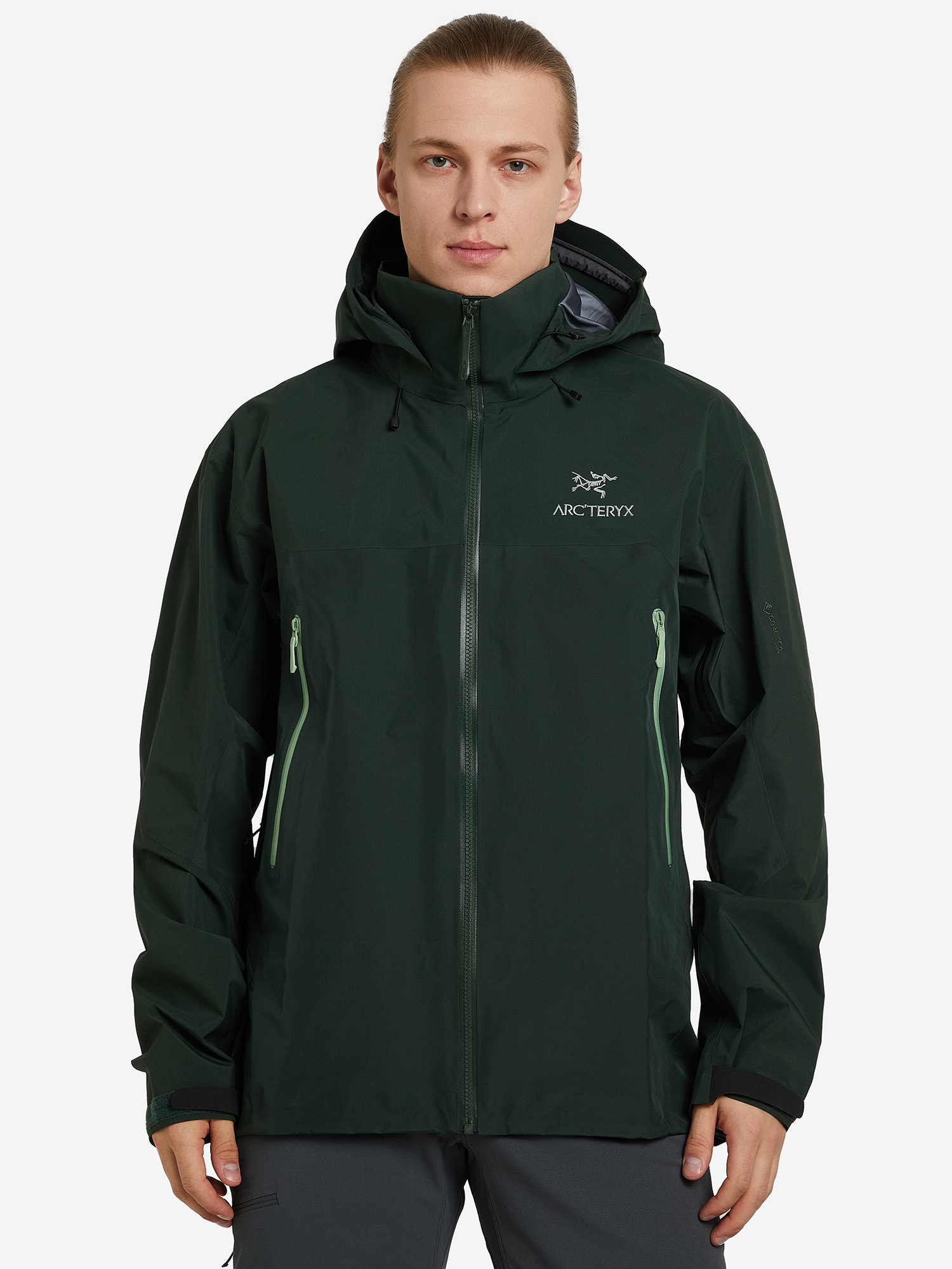 

Куртка мембранная мужская Arc'teryx Beta AR, Зеленый
