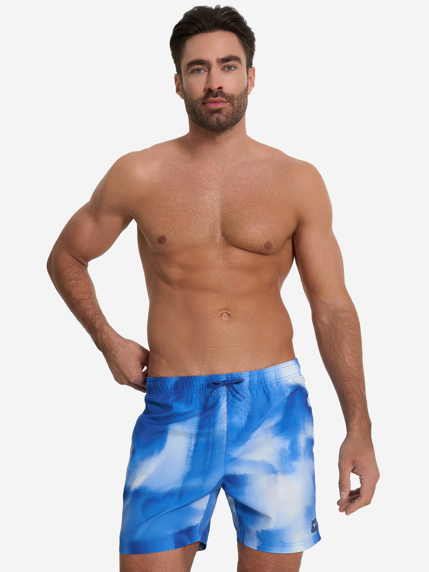 

Шорты плавательные мужские Speedo Digi Print, Голубой