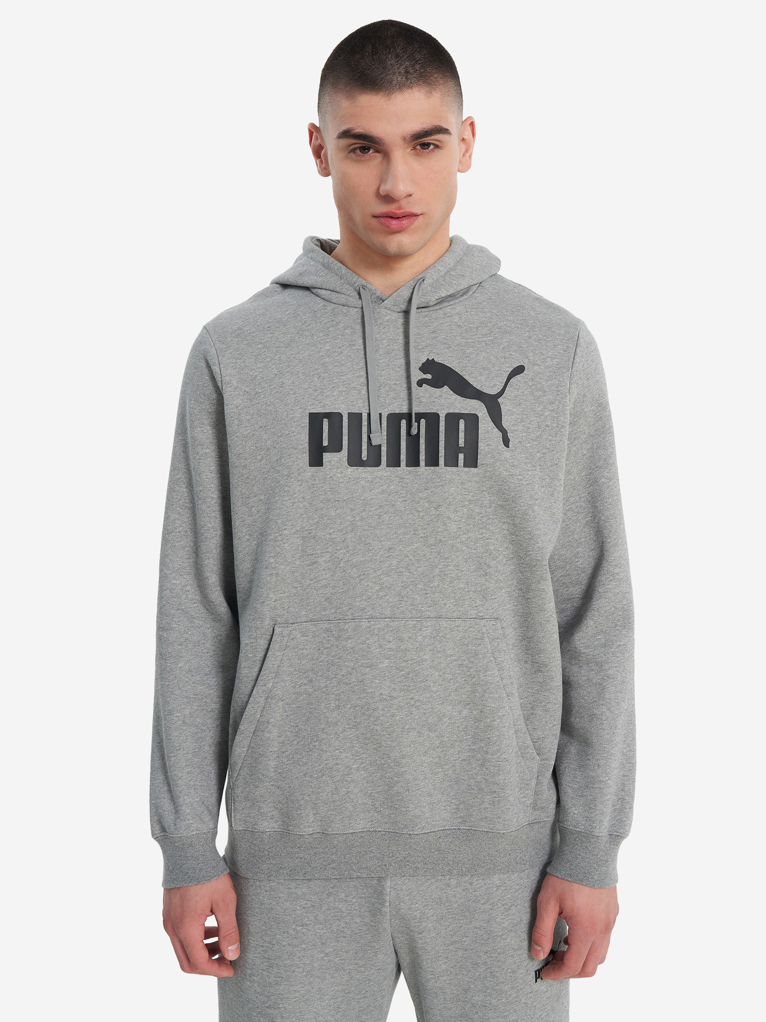 Худи мужское PUMA Ess No. 1 Logo, Серый 2