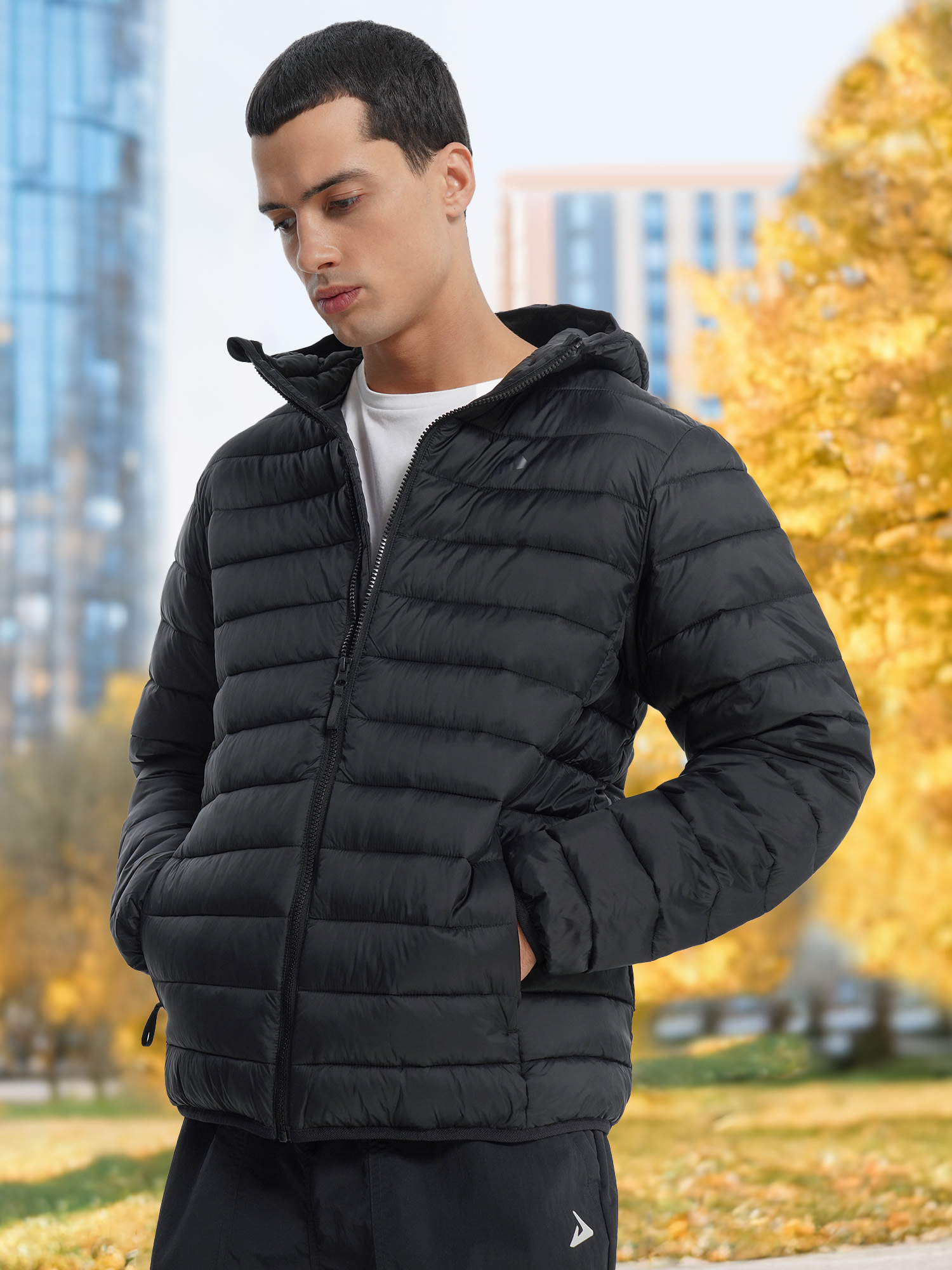 Мужской пуховик Demix, черный, арт. 34891