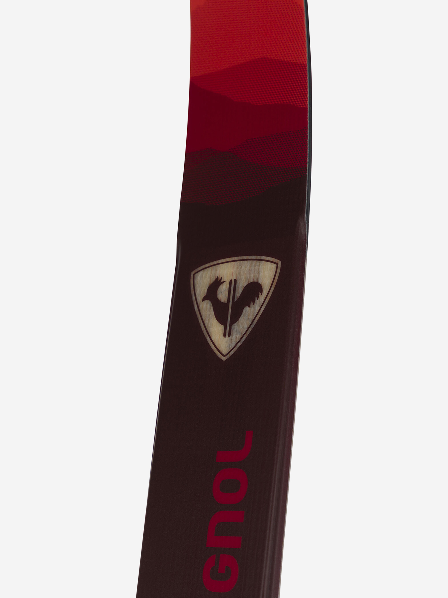 фото Беговые лыжи rossignol evo xt 55 positrack, красный