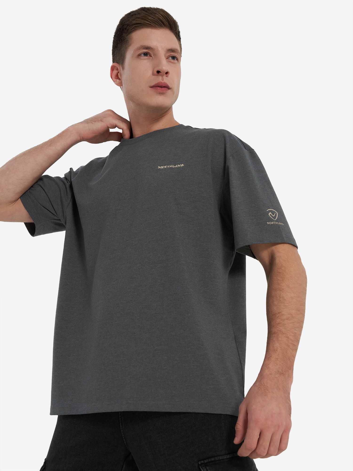 Футболка мужская Northland, серый, арт. 141089N16-4A