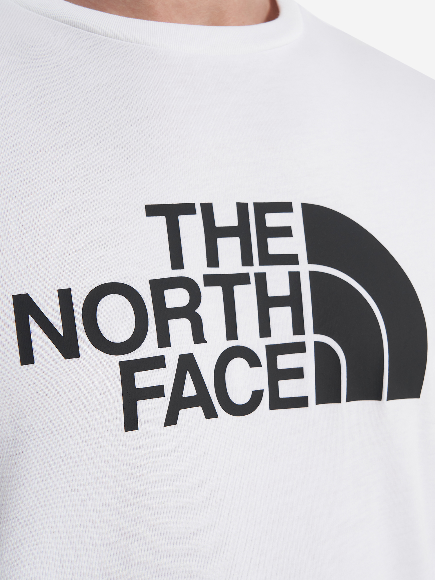 фото Футболка мужская the north face easy, белый