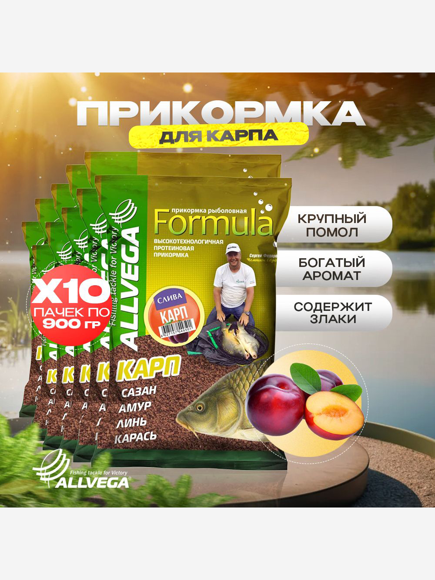 

Прикормка для рыбалки ALLVEGA Formula карп слива 10 пачек, Коричневый