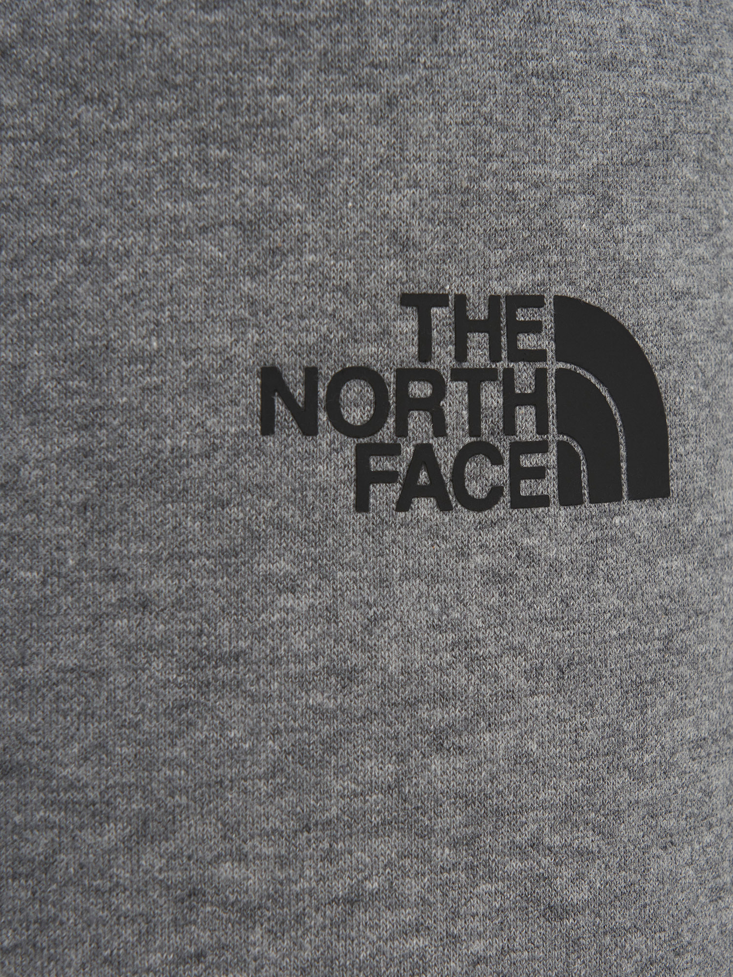 фото Брюки мужские the north face simple dome, серый