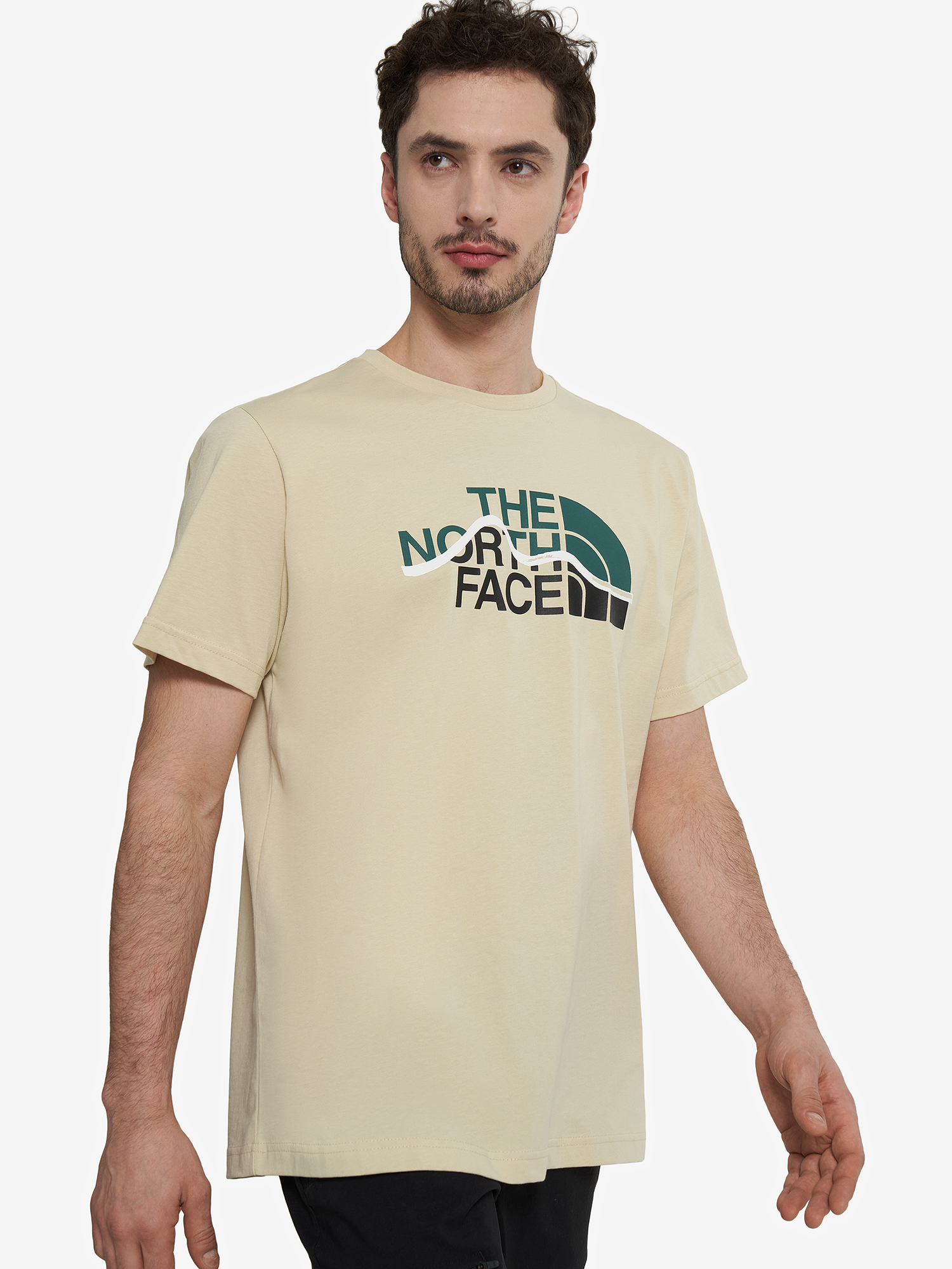 

Футболка мужская The North Face Mountain Line, Бежевый
