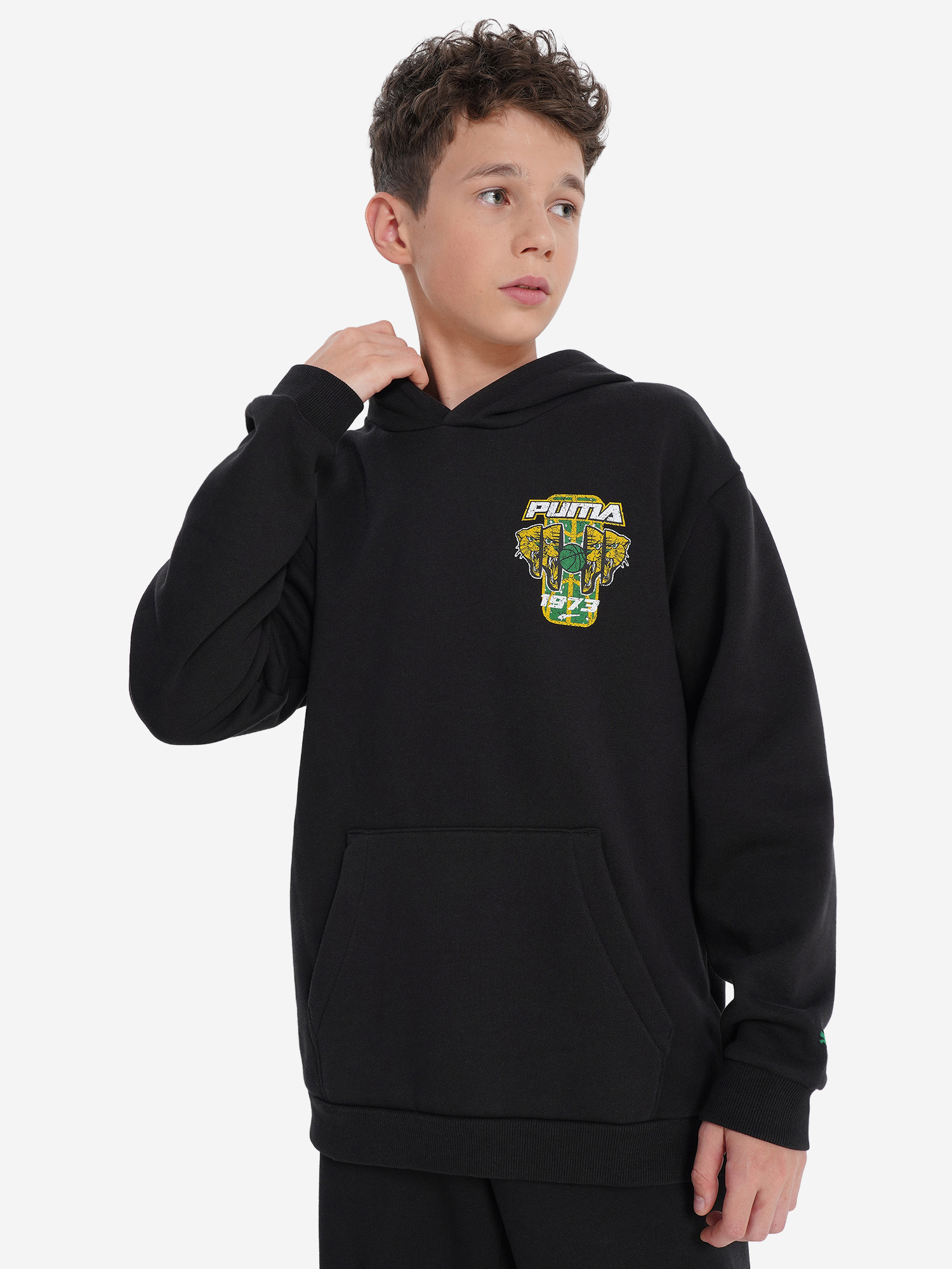 Худи PUMA Basketball Hoopstellations, черный, арт. 27731