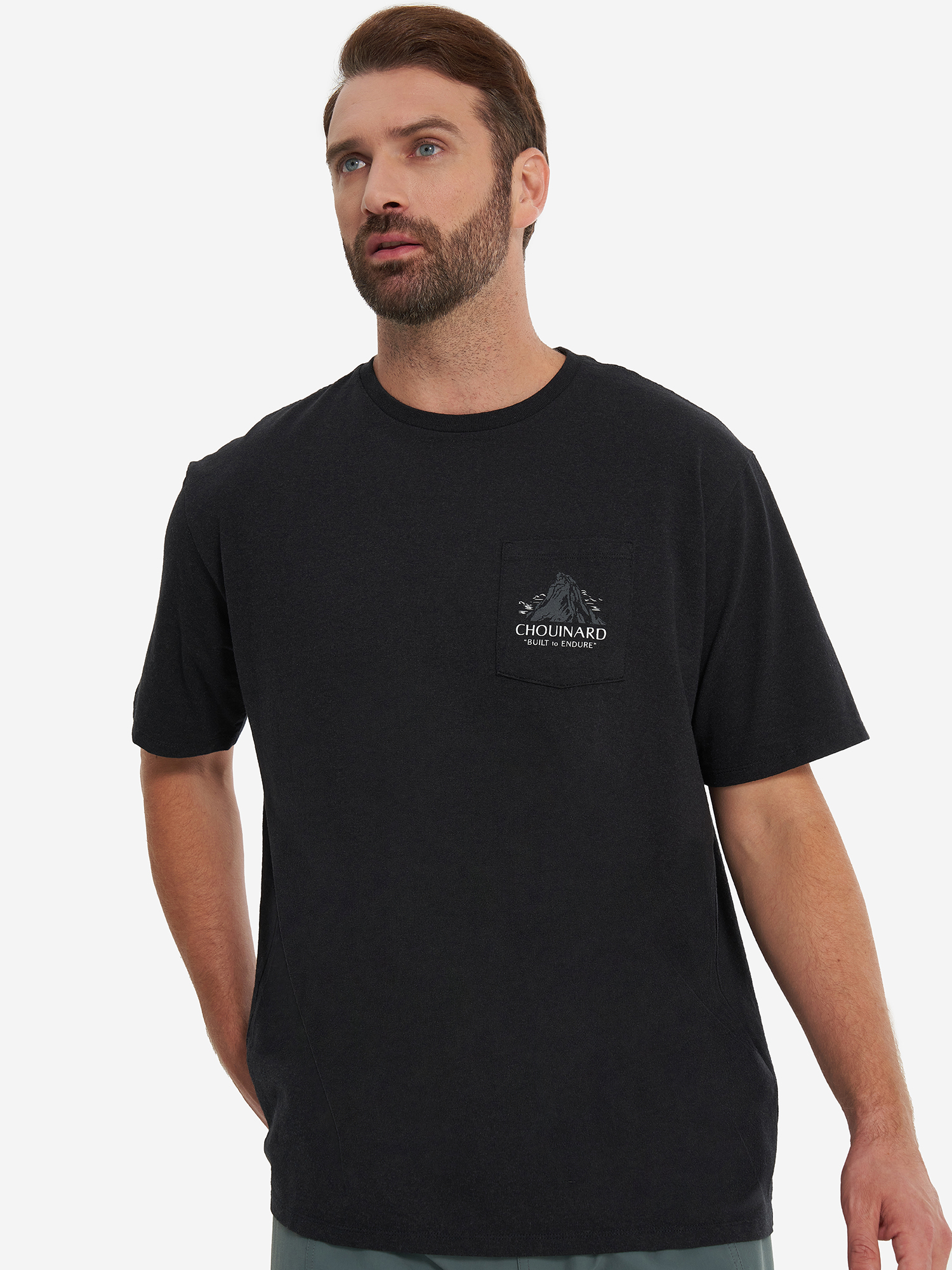 

Футболка мужская Patagonia Chouinard Crest, Черный