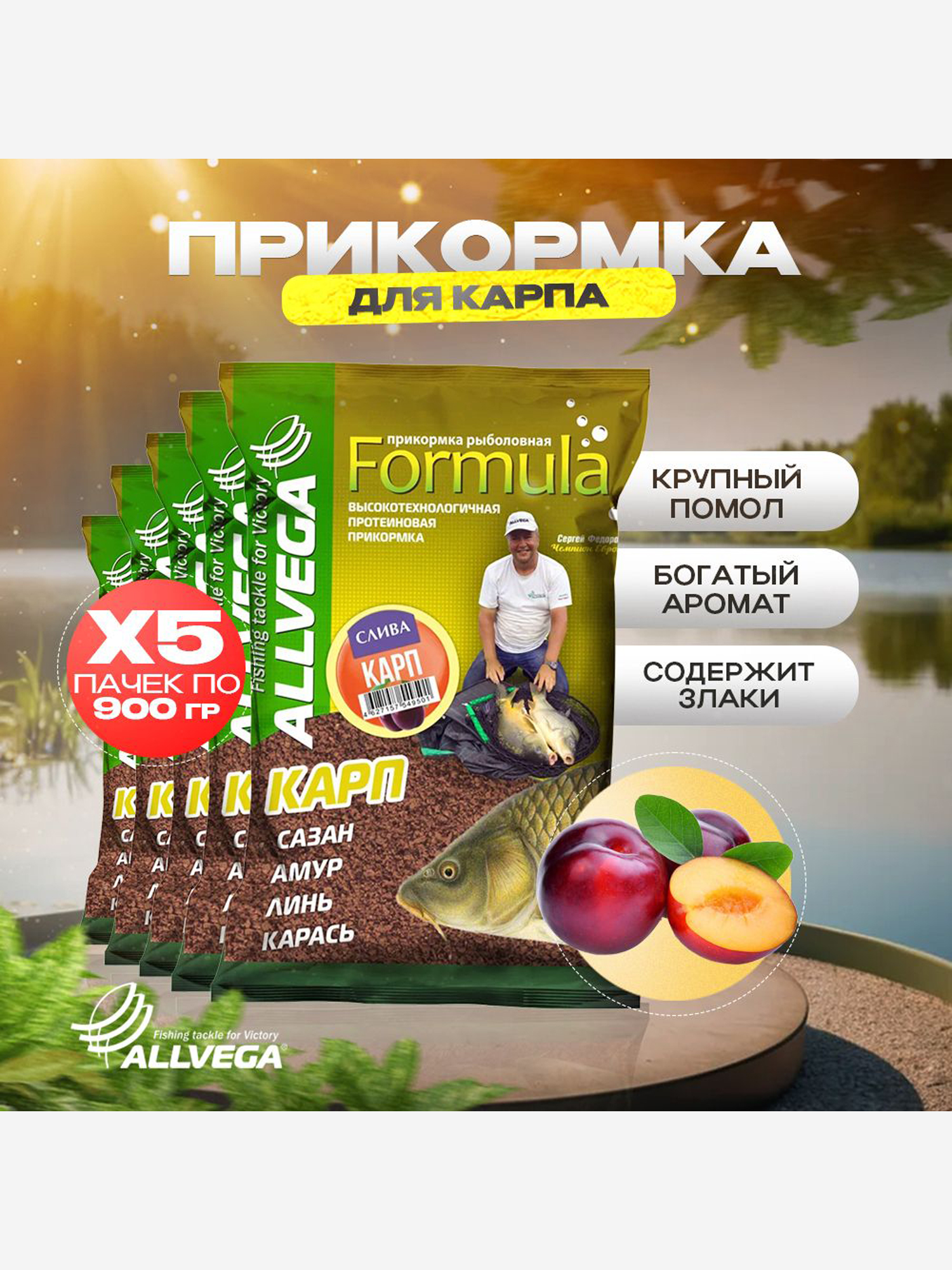

Прикормка для рыбалки ALLVEGA Formula карп слива 5 пачек, Коричневый