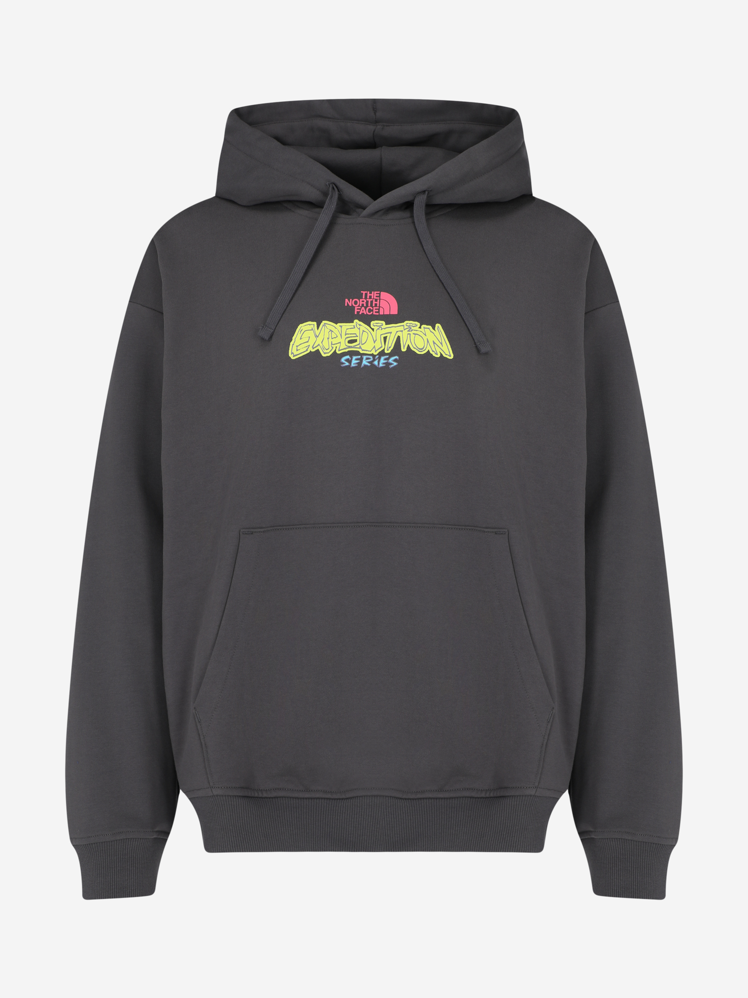 Худи мужское The North Face Expedition Celebration Серый 9799₽