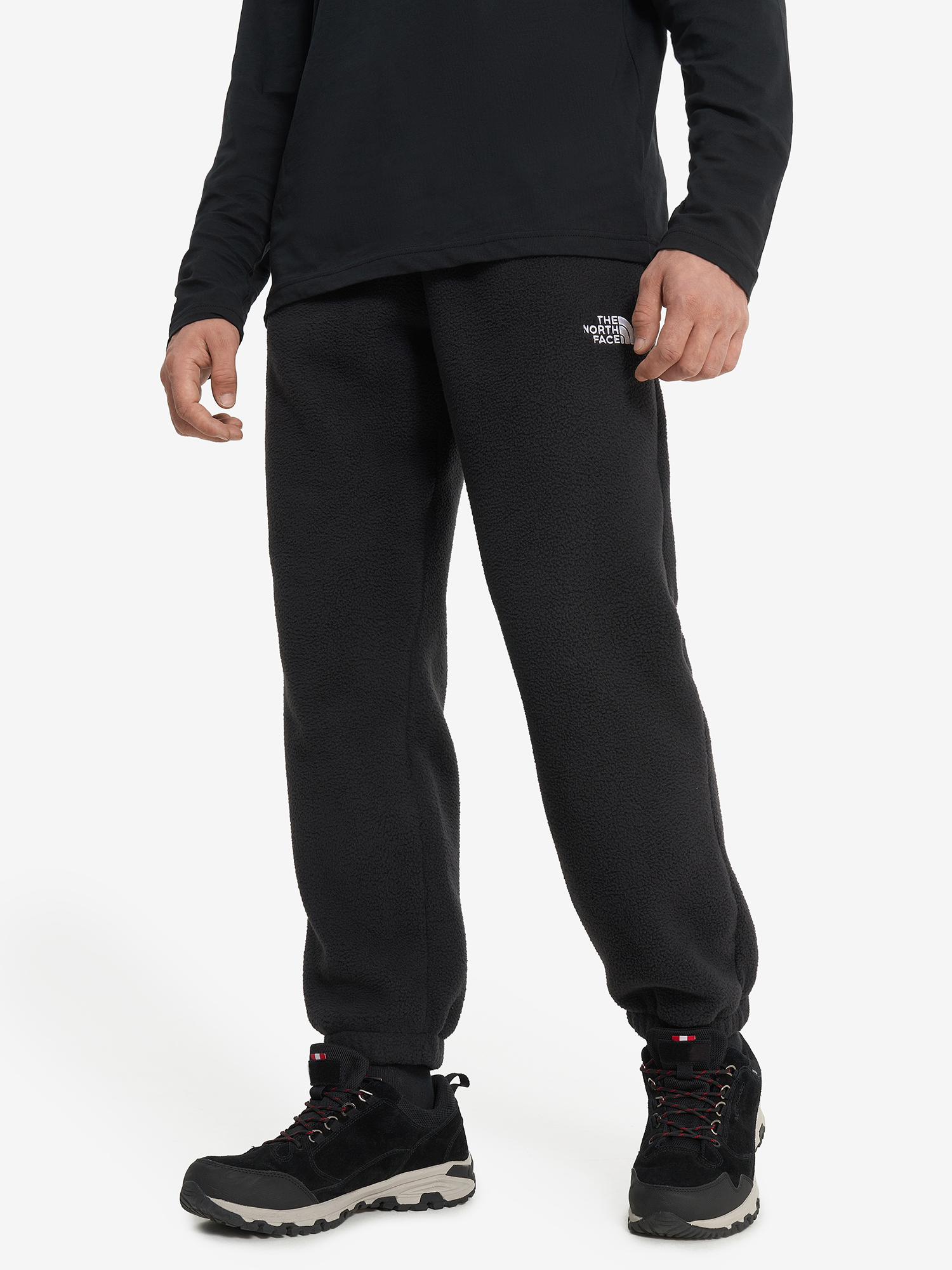 

Брюки флисовые мужские The North Face Fleeski, Черный