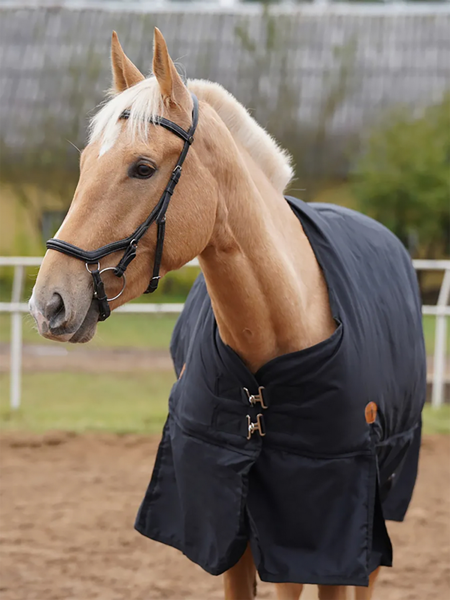 Изображение товара Попона зимняя с капором, Черный