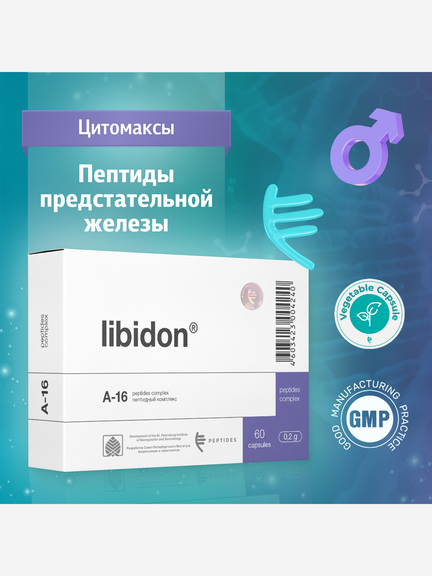 Изображение товара Либидон 60 капсул - натуральный пептидный комплекс для здоровья предстательной железы