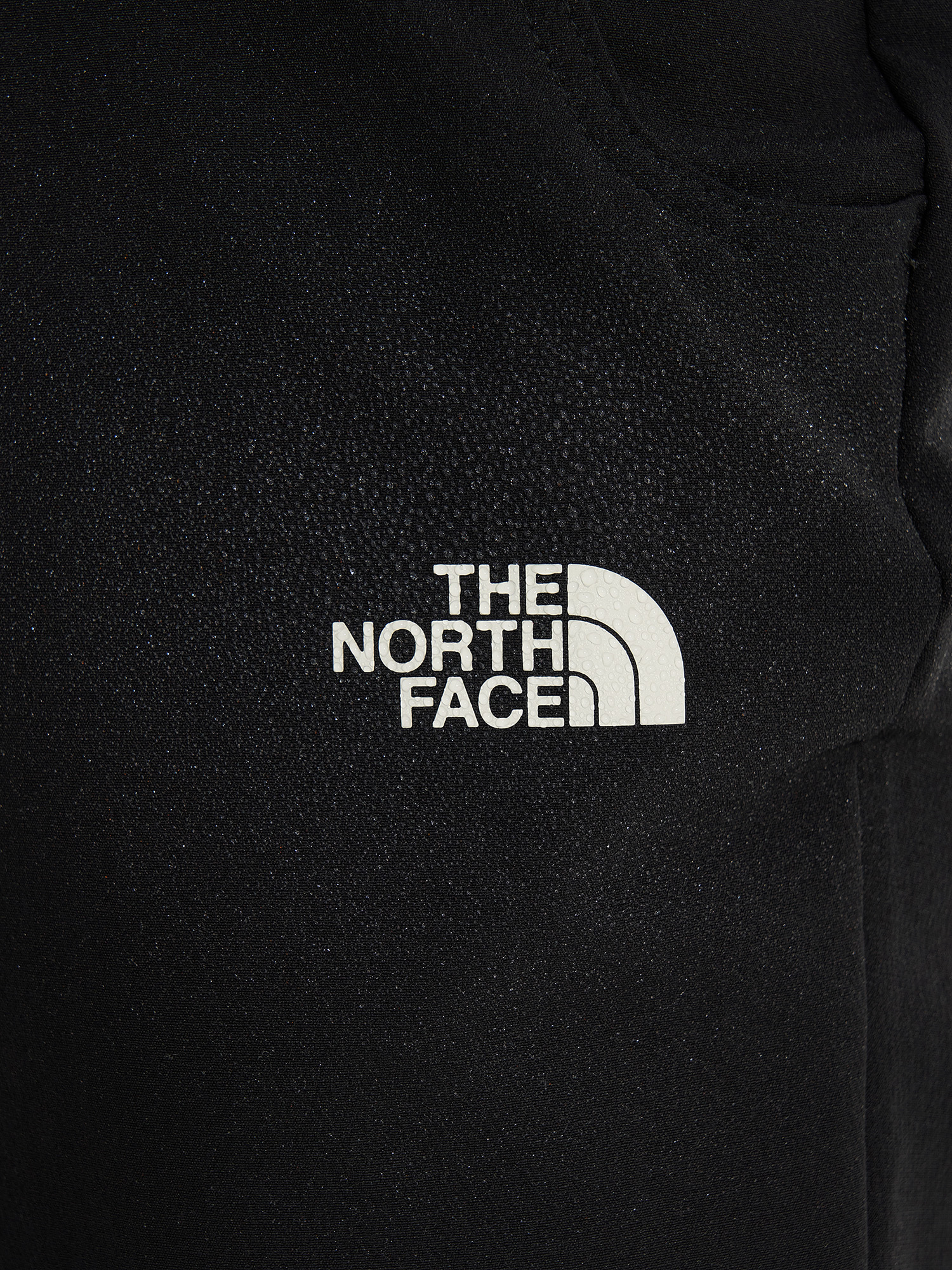 фото Брюки софтшелл женские the north face quest softshell, черный