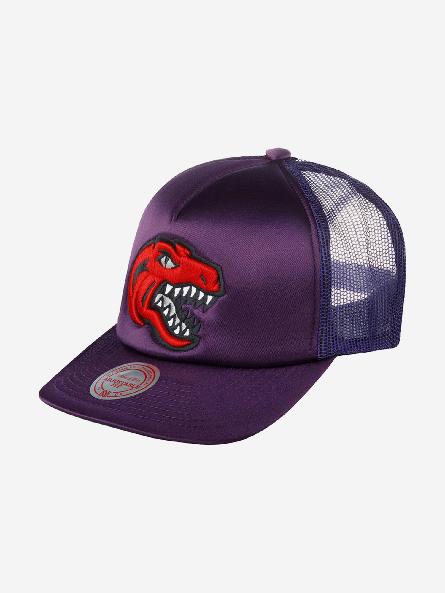 Изображение товара Бейсболка MITCHELL NESS HHSS3467-TRAYYPPPPURP Toronto Raptors NBA