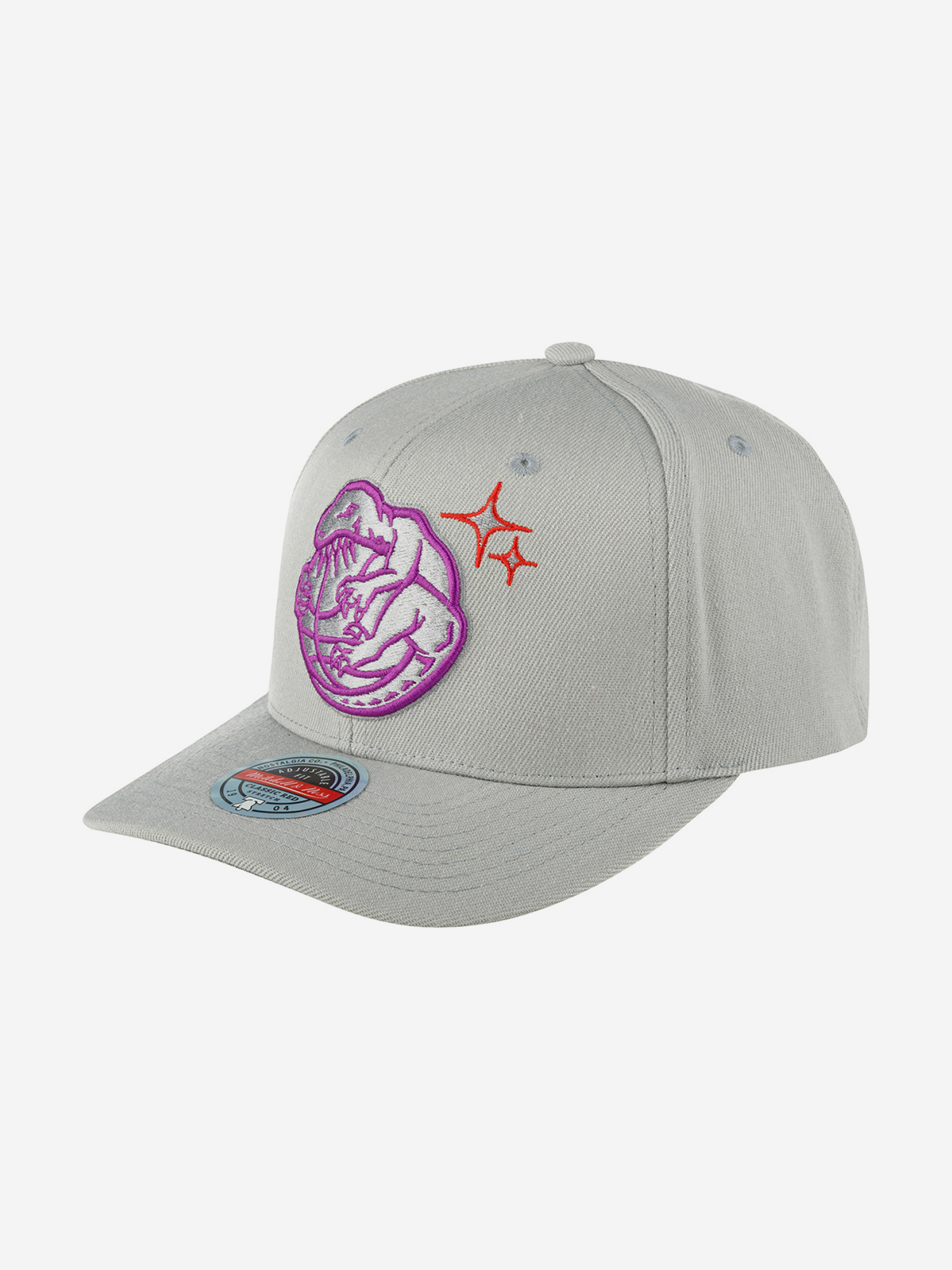 

Бейсболка MITCHELL NESS HHSSINTL1243-TRALTGY Toronto Raptors NBA (серый), Серый